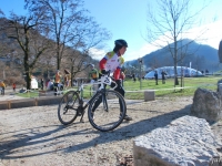bcx_022