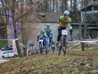 bcx_084