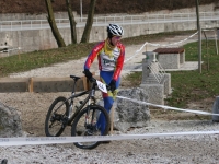 bcx_fd_21