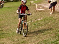xcm_12