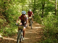 xcm_16