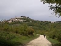 par_08