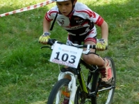 cv_xc_01