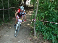 xcdom_14